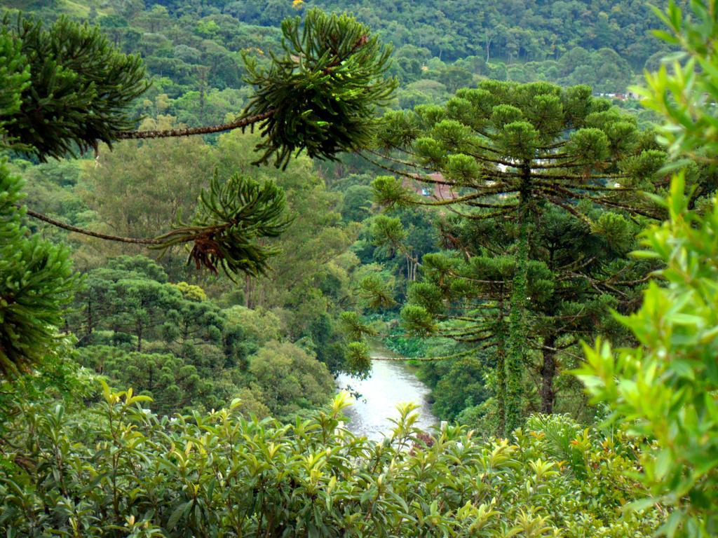 Pousada Lilaceas Visconde De Maua Kültér fotó